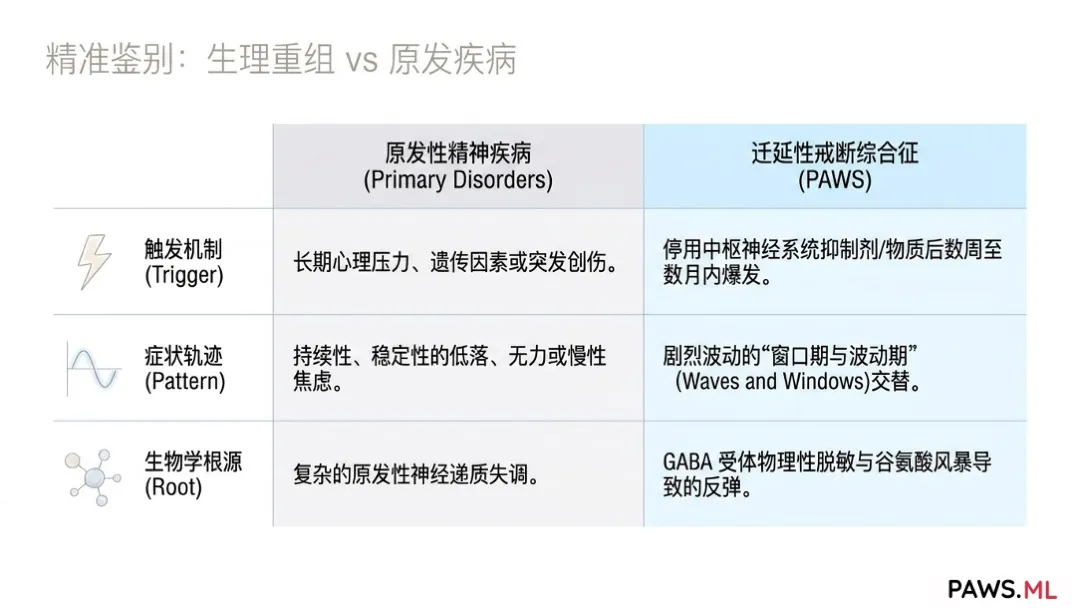 AI 专家会诊：多智能体 AI 如何精准区分“戒断综合征 (PAWS)”与“临床抑郁/焦虑症” | PAWS.ML