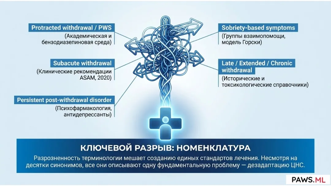 Постабстинентный синдром (ПАС / PAWS): Определение, история и научный статус | PAWS.ML
