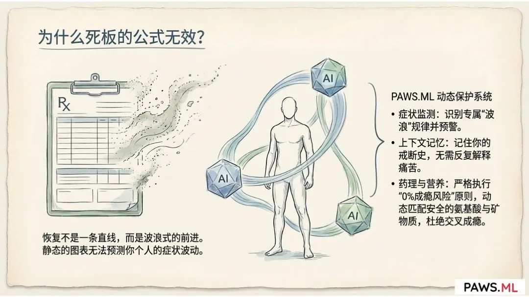 戒断反应会持续多久？揭开 PAWS (迁延性戒断综合征) 与大脑恢复的时间线 | PAWS.ML