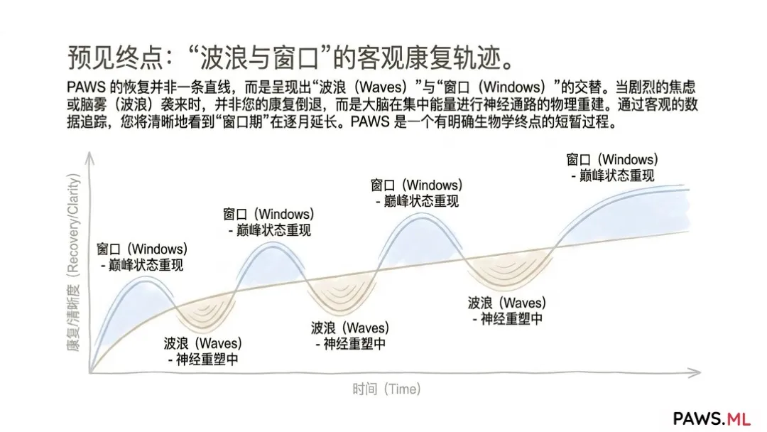 迁延性戒断期匿名支持:24/7 AI 神经康复伴侣 | PAWS.ML