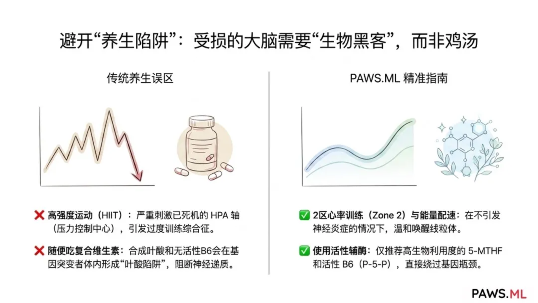 自杀星期二与狂欢后抑郁:如何安全恢复血清素与大脑 | PAWS.ML