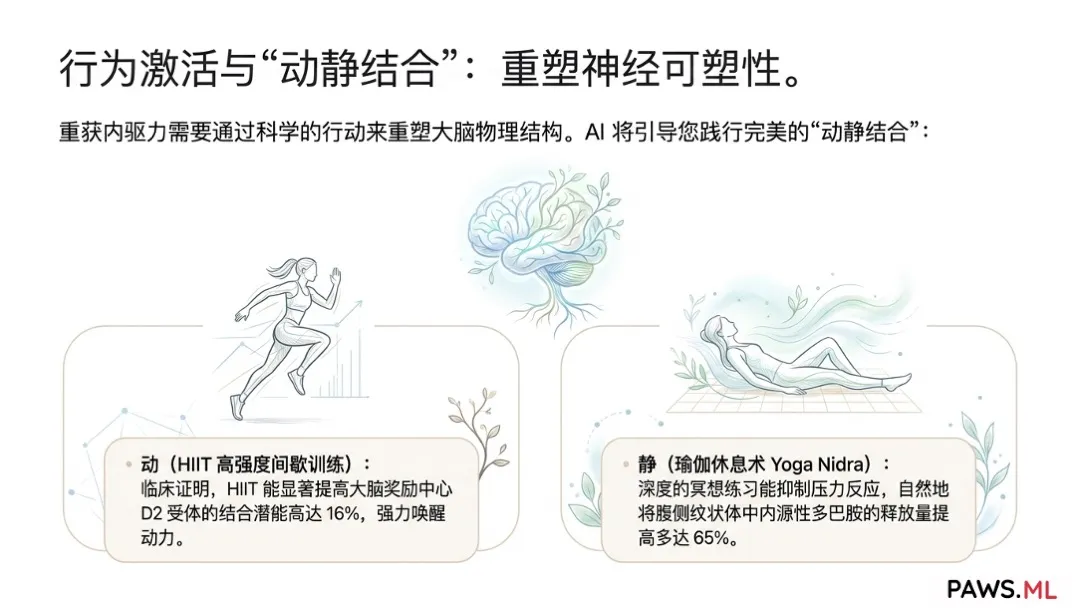 永久性脑损伤?戒断后如何恢复多巴胺受体与消除脑雾 | PAWS.ML
