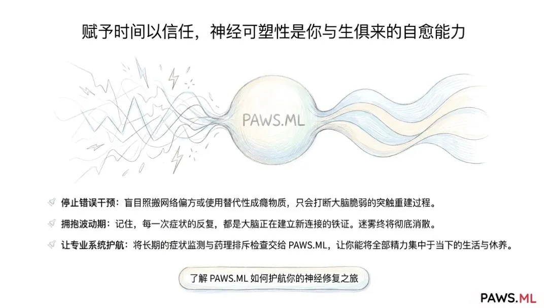 戒断后大脑如何修复？解析神经可塑性与脑雾消除方法 | PAWS.ML | PAWS.ML