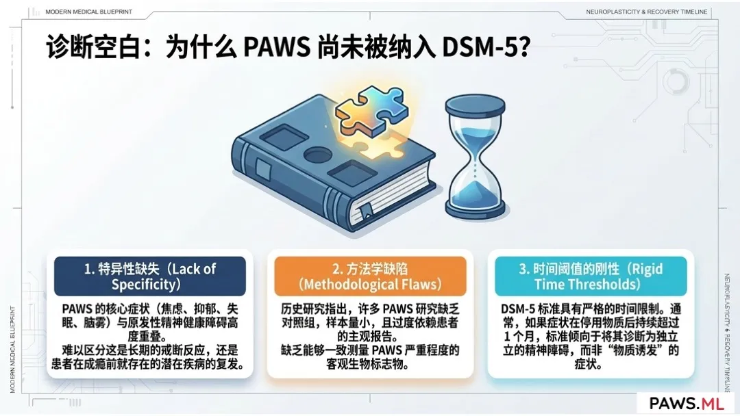 迁延性戒断综合征 (PAWS)：定义、历史演变与科学地位 | PAWS.ML