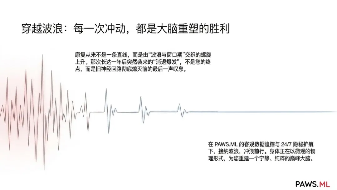 “养生”神话破灭：为什么运动和普通维生素无法缓解戒断后的疲劳？（以及AI精准修复方案） | PAWS.ML