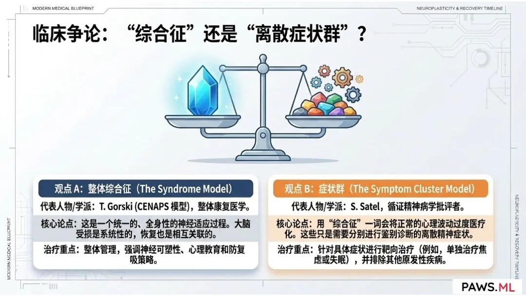 迁延性戒断综合征 (PAWS)：定义、历史演变与科学地位 | PAWS.ML