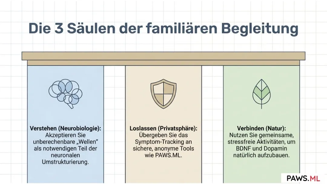 Einen angehörigen im post-akuten entzug begleiten | PAWS.ML