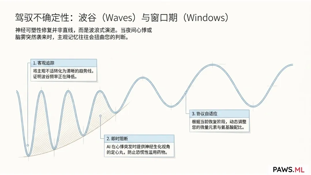 高管神经生物学优化与生物黑客康复 | PAWS.ML