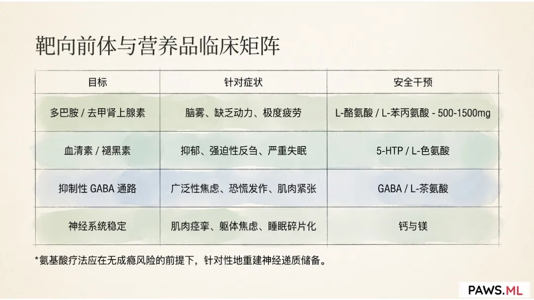 戒断反应会持续多久？揭开 PAWS (迁延性戒断综合征) 与大脑恢复的时间线 | PAWS.ML