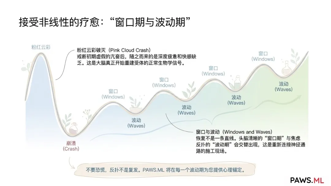 自杀星期二与狂欢后抑郁:如何安全恢复血清素与大脑 | PAWS.ML