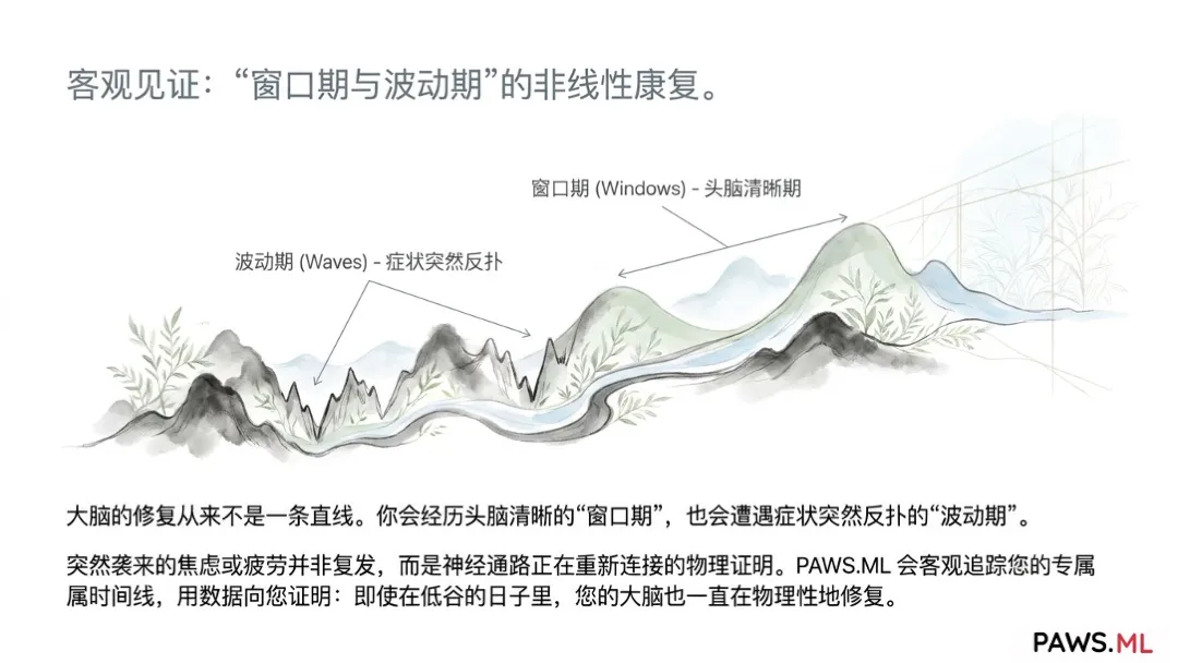 永久性脑损伤?戒断后如何恢复多巴胺受体与消除脑雾 | PAWS.ML