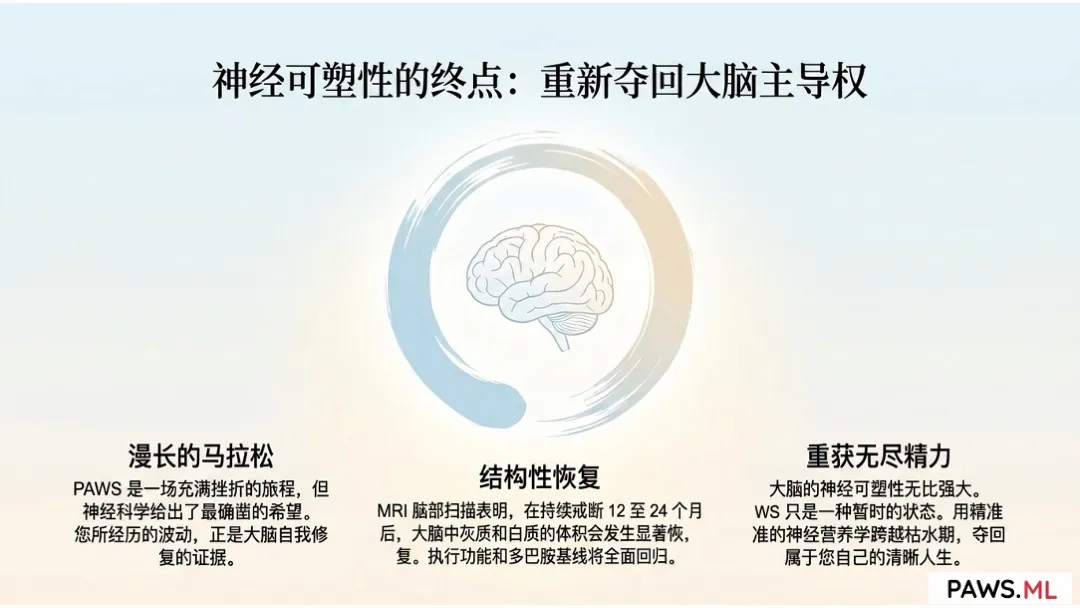 戒酒3、6、9个月：为什么依然抑郁、浑身无力？ | PAWS.ML