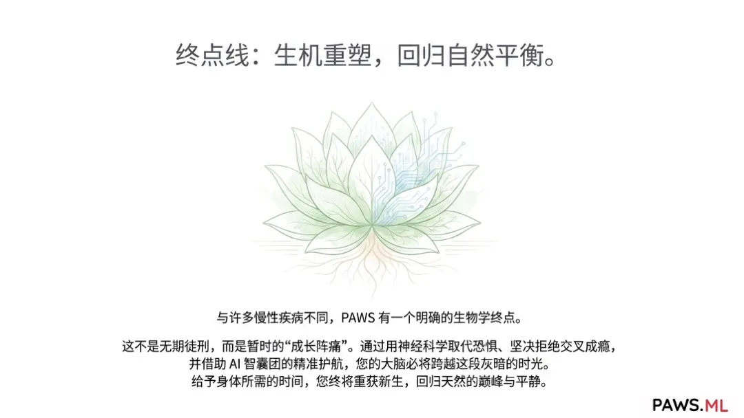 永久性脑损伤?戒断后如何恢复多巴胺受体与消除脑雾 | PAWS.ML