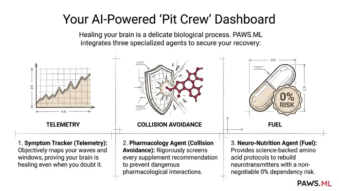 Withdrawal before quitting: Tolerance, PAWS & brain recovery | PAWS.ML