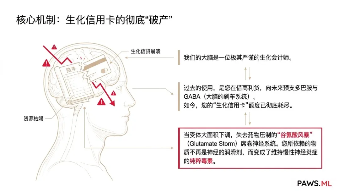 戒断前的戒断:耐受性戒断、PAWS 与大脑修复 | PAWS.ML