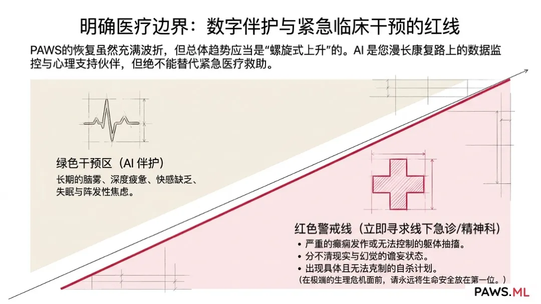 戒断前的戒断:耐受性戒断、PAWS 与大脑修复 | PAWS.ML